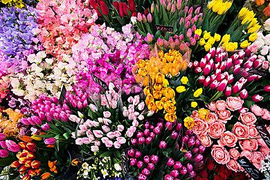 《吸血鬼幸存者》首个付费DLC12月15日发售 追加新角色关卡